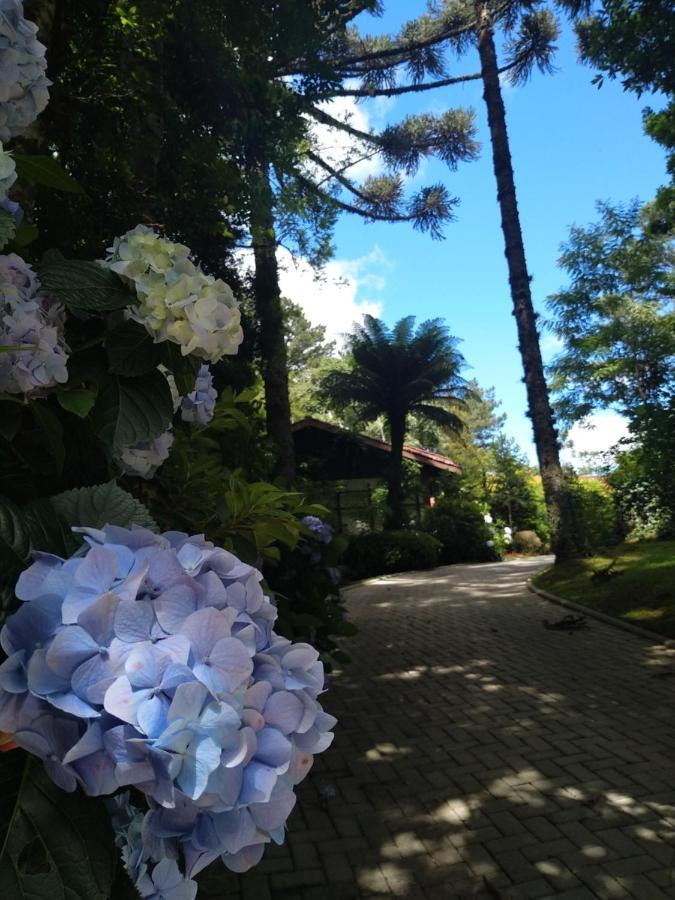 CASA GOLDONI GRAMADO 3 Quartos Gramado Exterior foto